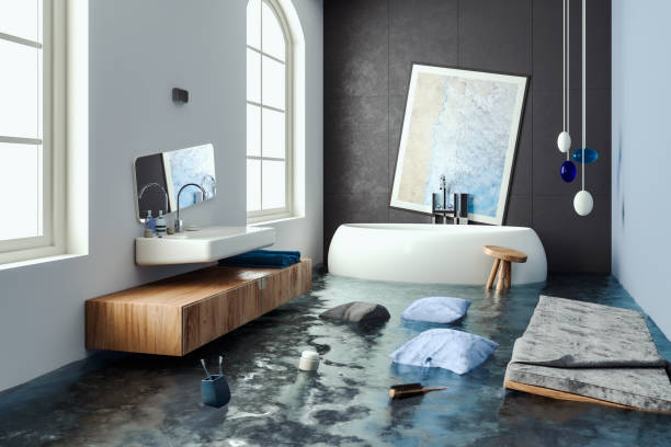 Best Professional water damage repair  in Port St John, FL