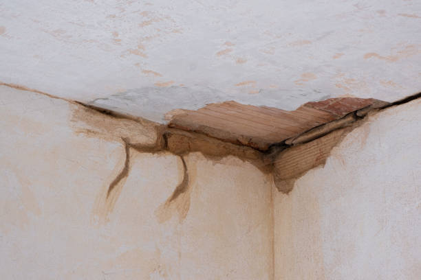 Best Carpet water damage restoration  in Port St John, FL
