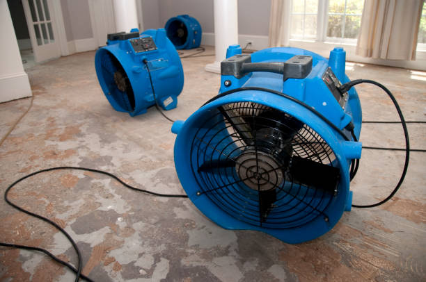 Best Water damage restoration mold remediation  in Port St John, FL