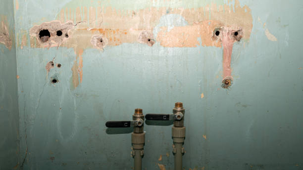 Best Flood damage cleanup  in Port St John, FL