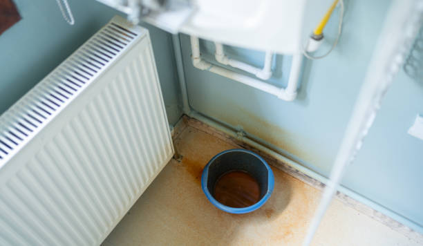 Best Local water damage restoration  in Port St John, FL