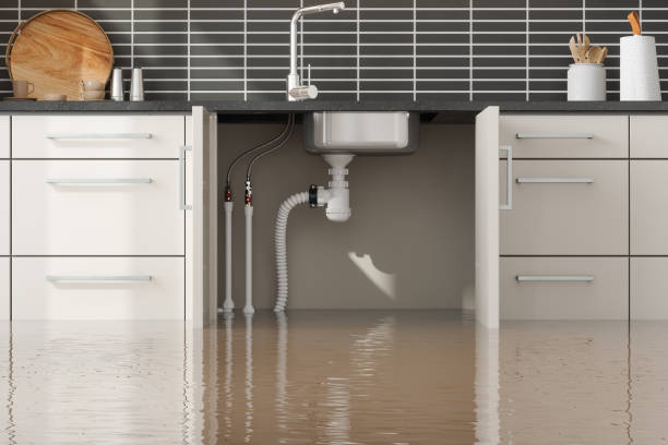Best Emergency water damage restoration  in Port St John, FL