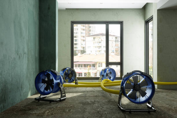 Best Commercial water damage restoration  in Port St John, FL