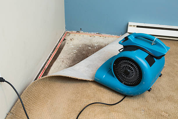 Best Fire Damage Restoration  in Port St John, FL